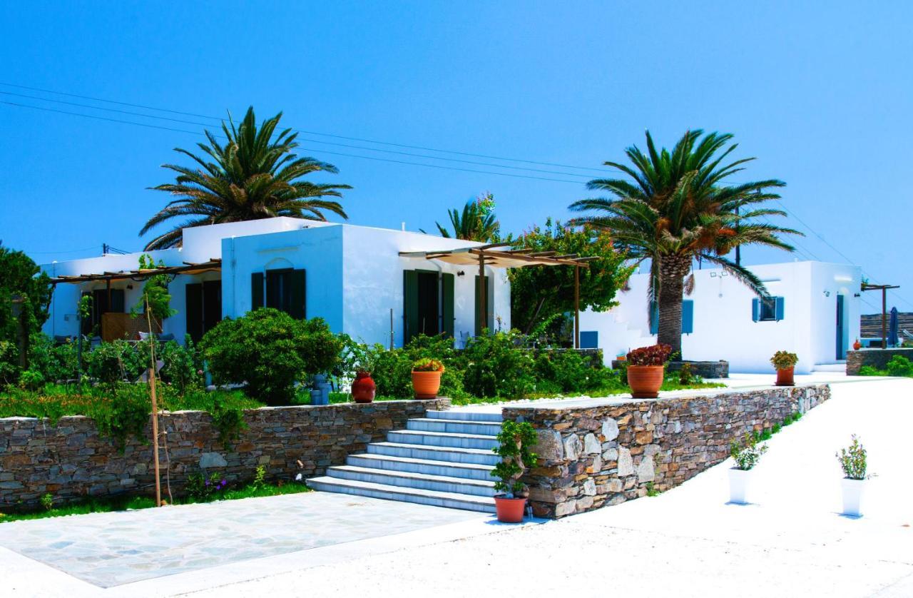 Ancient Meropia - Apollon
